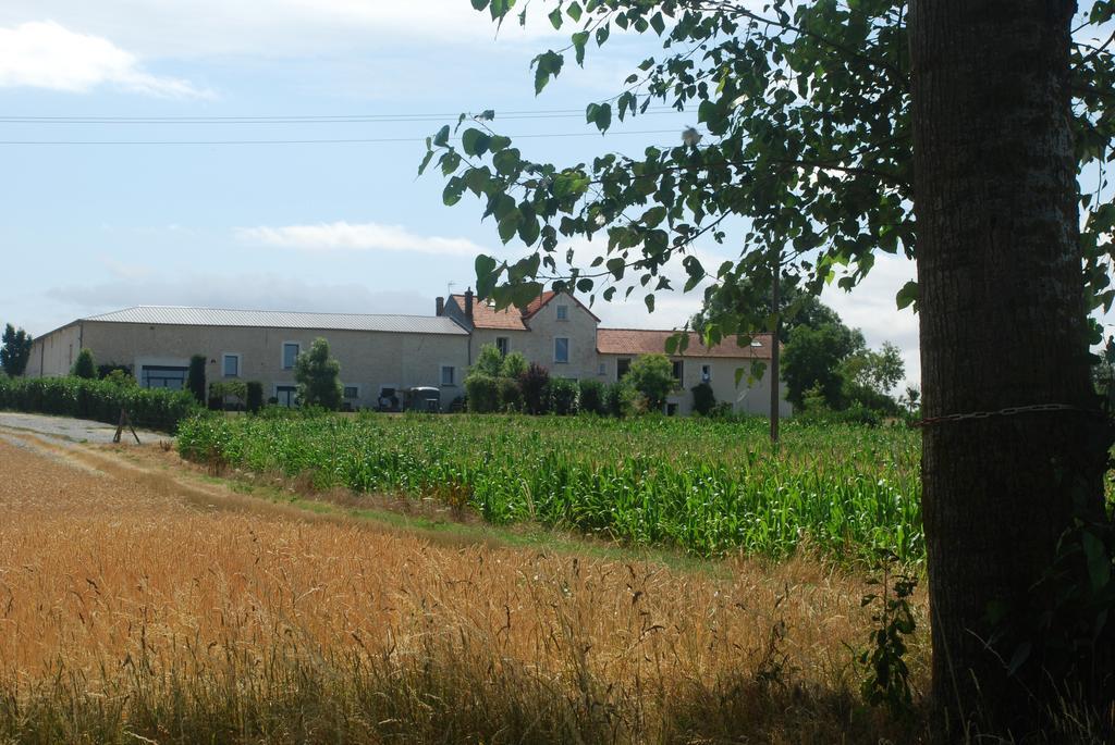 Jouarre Ferme Du Grand Hotel Du Bois מראה חיצוני תמונה
